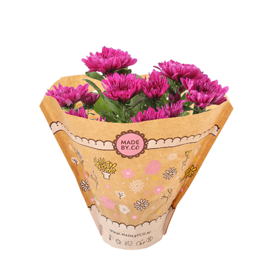 Image of Chrysanthemen in Papiertüte*