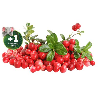 Image of Cranberrys*