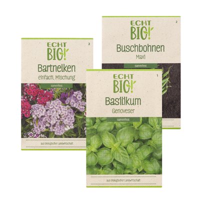 Image of Blumen- od. Gemüsesamen*