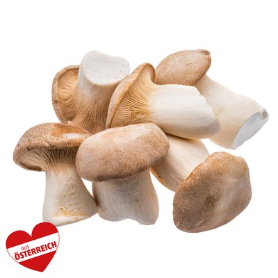 Image of ECHT BIO! Kräuterseitlinge