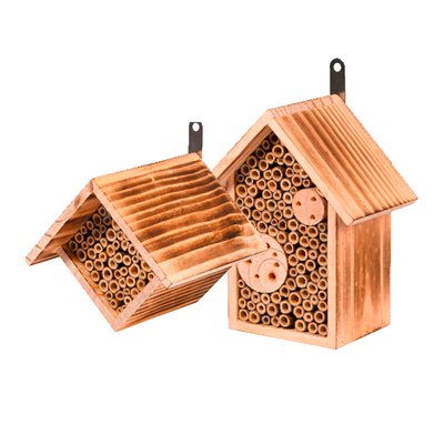 Image of Nisthilfen für Wildbienen*
