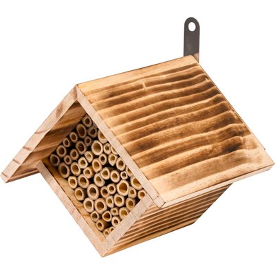 Image of Nisthilfen Für Wildbienen*