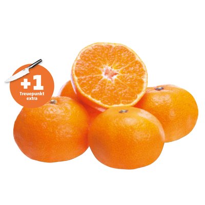 Image of Mandarinen gelegt