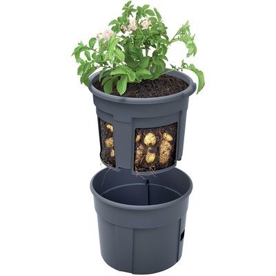 Image of Kartoffeltopf² 2-teilig