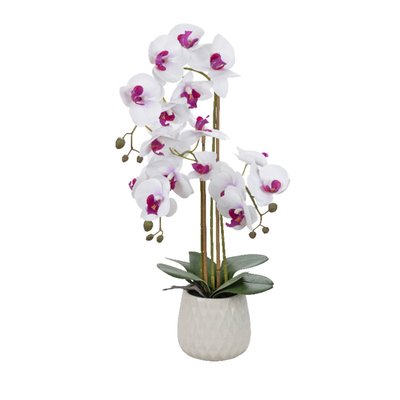 Image of Künstliche Orchidee*