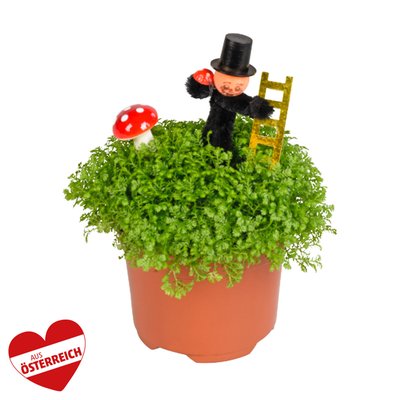 Image of Glücksbringer Mix*