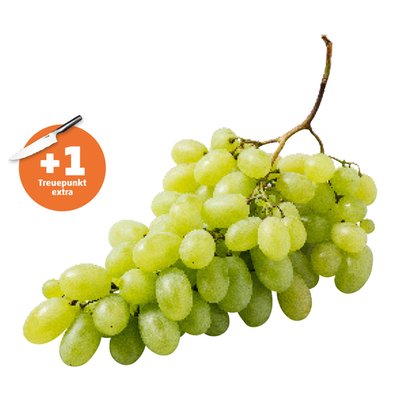 Image of Trauben weiss kernlos