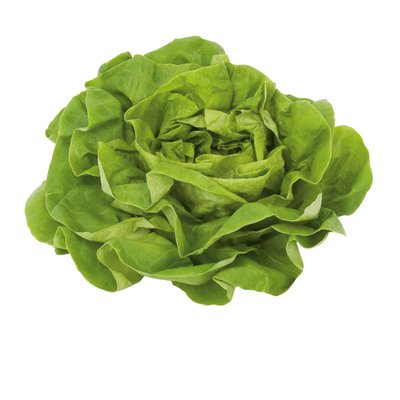 Image of Ich Bin Österreich Häuptelsalat