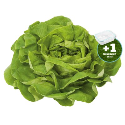 Image of Ich bin Österreich Häuptelsalat