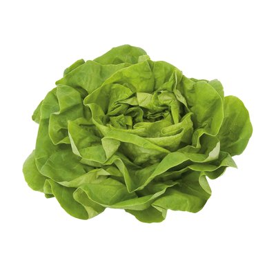 Image of Häuptelsalat