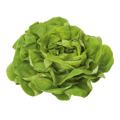 Image of Ich bin Österreich Häuptelsalat