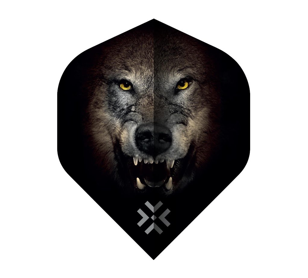 Bullet Fang NO2 - Dart Flights