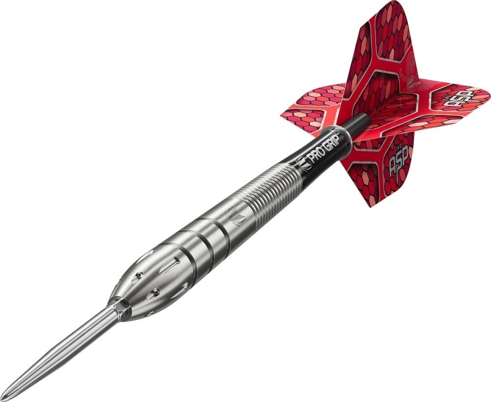 ネイサンアスピナルG1 26g スイスポイント Target Nathan Aspinall G1