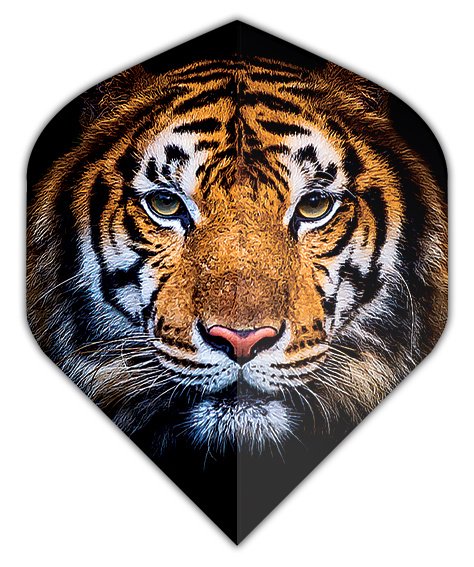 Dartshopper Tiger NO2 Darts Flights