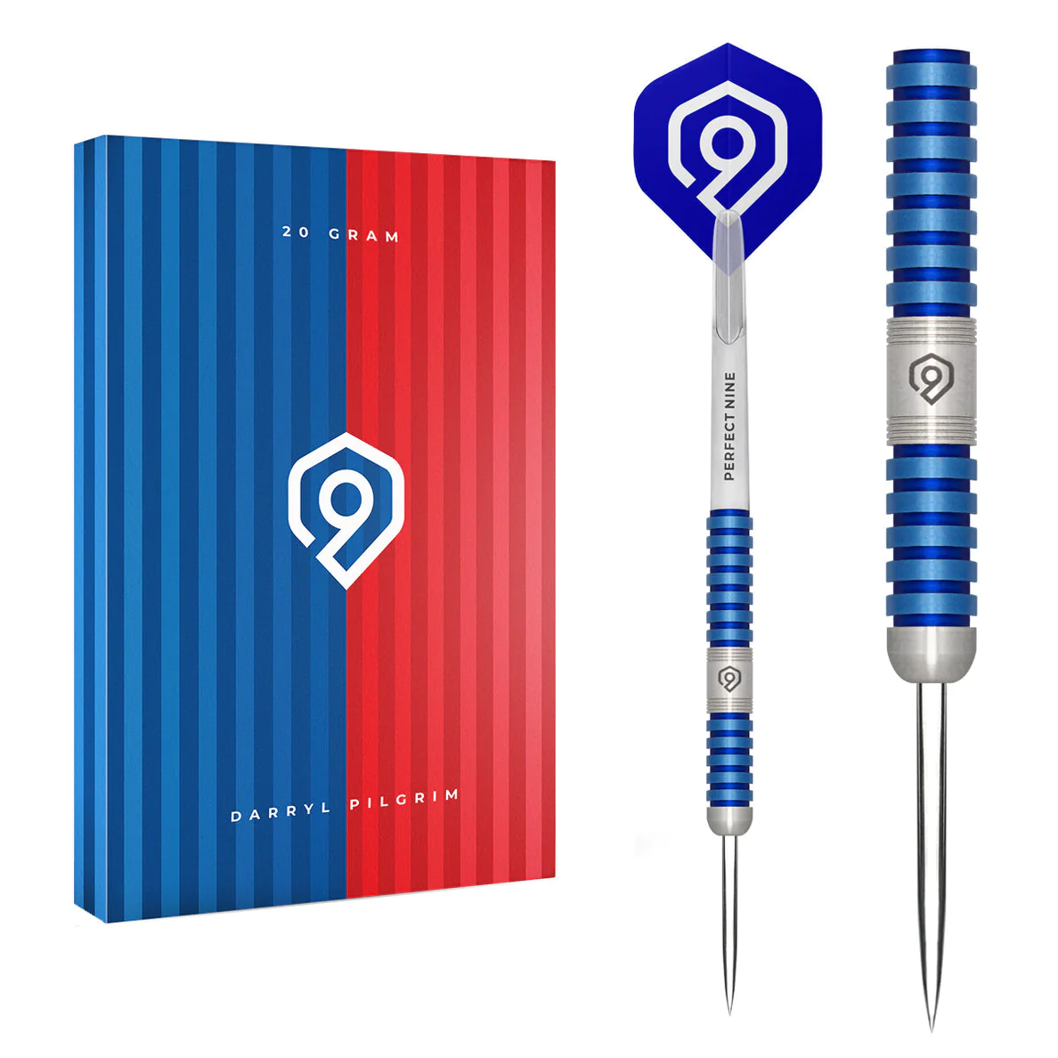 Perfect Nine Darryl Pilgrim 90% Darts