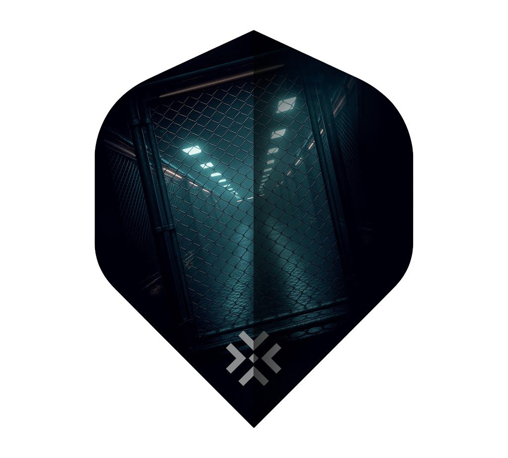 Bullet Cage NO2 - Dart Flights