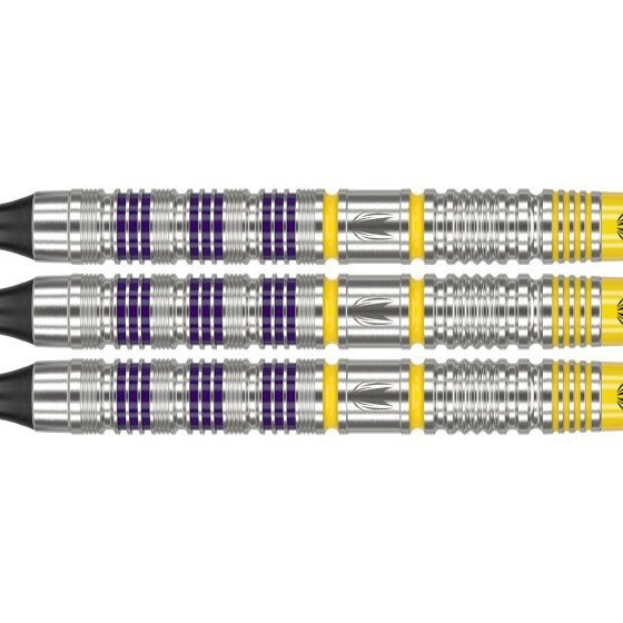 TARGET Luke Littler ソフト＆スティール セット Target Luke Littler Brass Set 22 Pieces Soft Tip Darts