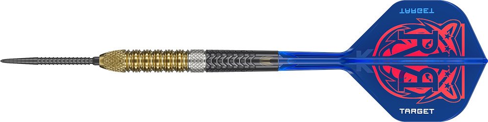 Target Raymond van Barneveld G6 Swiss Point 95% - Steel Tip Darts