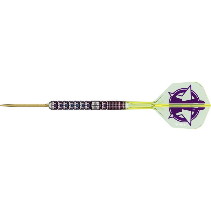 Target Luke Littler World Champion 2025 Swiss Point 90% - Steel