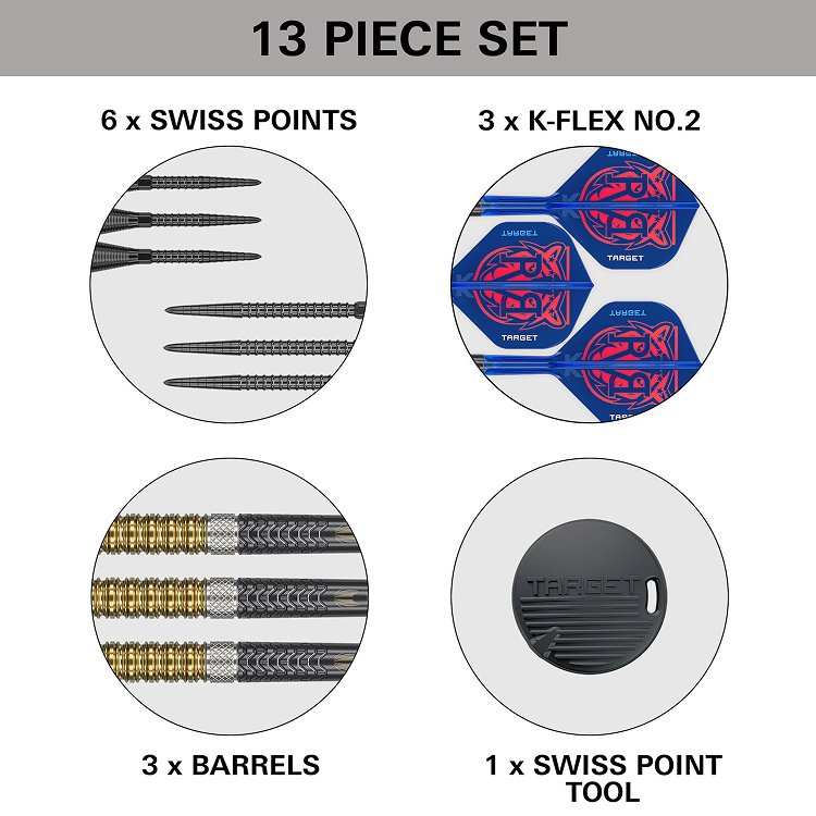 Target Raymond van Barneveld G6 Swiss Point 95% - Steel Tip Darts