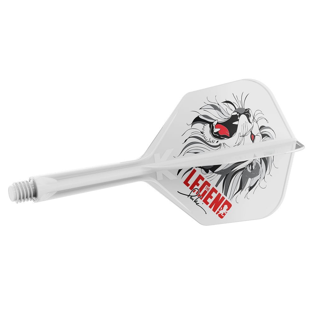 DARTSLIVE  本体 0602301005335_6.jpg