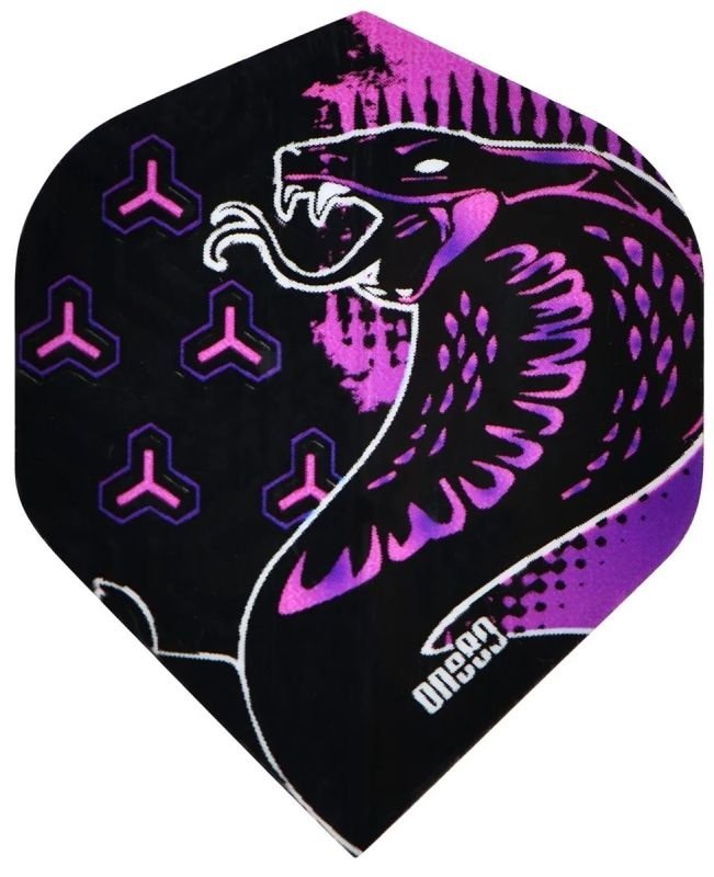 ONE80 Jelle Klaasen Darts Flights