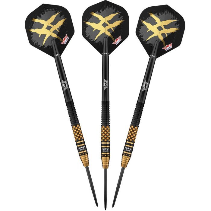 【ダーツ レア】Richard Veenstra E2 ブルズ Bull's Richard Veenstra E2 90% - Steel Tip Darts - Dartshopper.eu