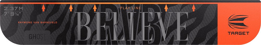 Target Raymond van Barneveld Throwline
