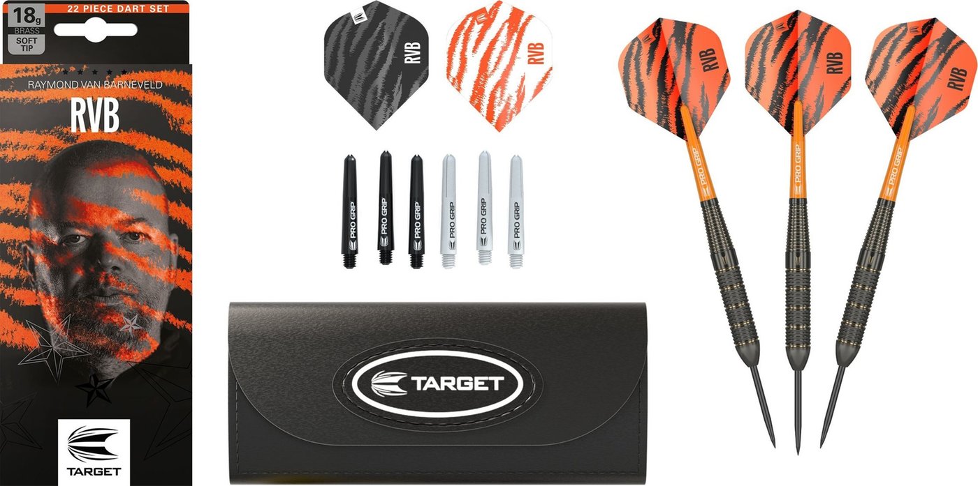 Target Raymond van Barneveld RVB Brass Set 22 Pieces Darts