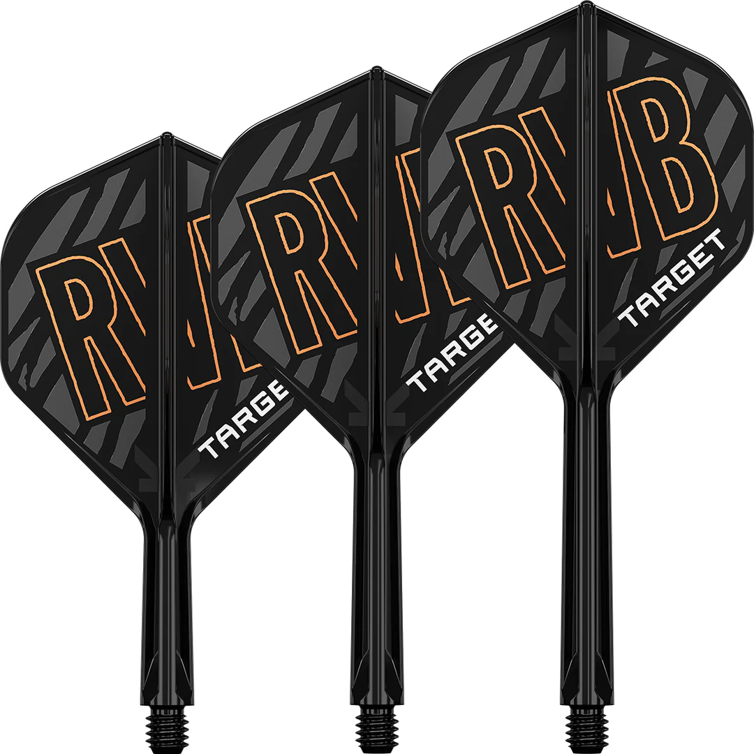 Target K-Flex Raymond van Barneveld NO2 - Dart Flights