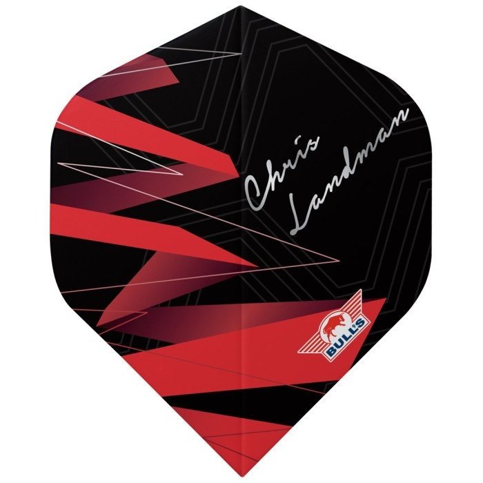 Bull's Player 100 Chris Landman 90 NO2 Darts Flights