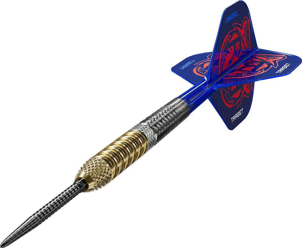 Target Raymond van Barneveld G6 Swiss Point 95% - Steel Tip Darts