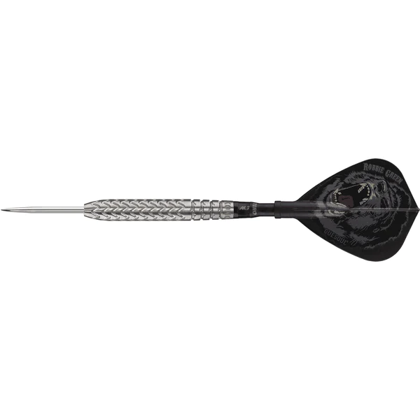 Cuesoul Robbie Green Silver 90% - Steeldarts