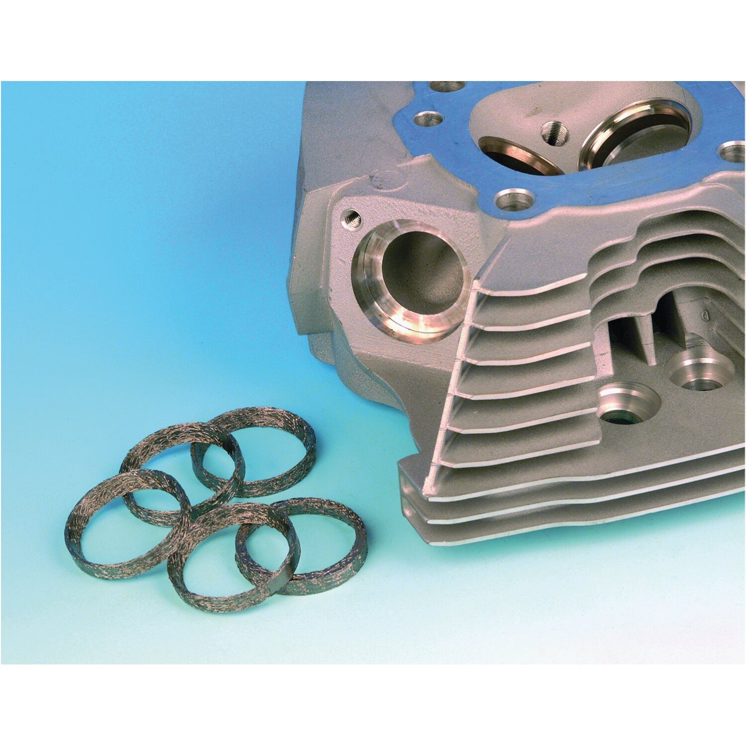 James, exhaust gaskets. 91-09 style