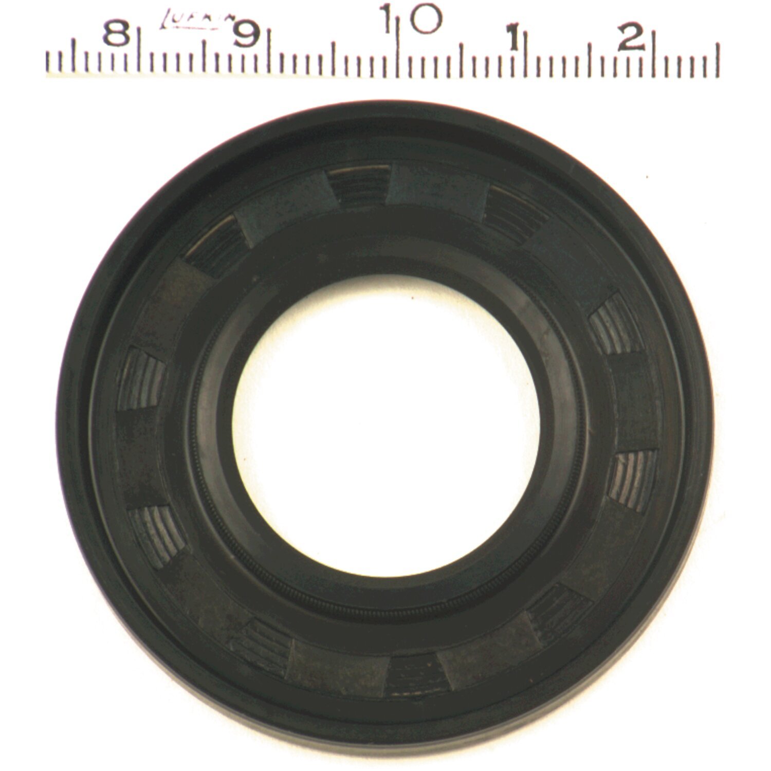 Oil Seals