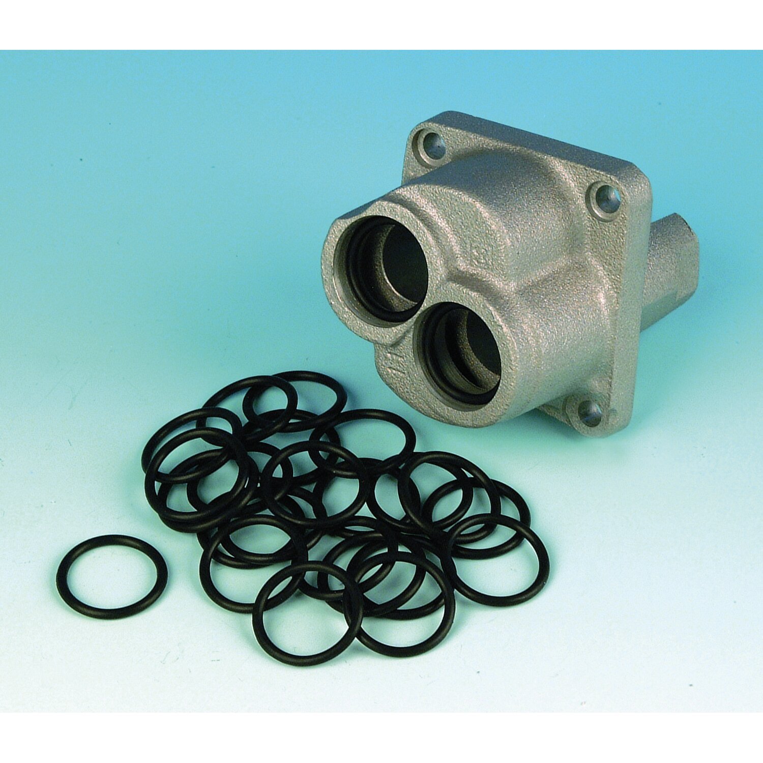 James, pushrod cover O-ring. Lower
