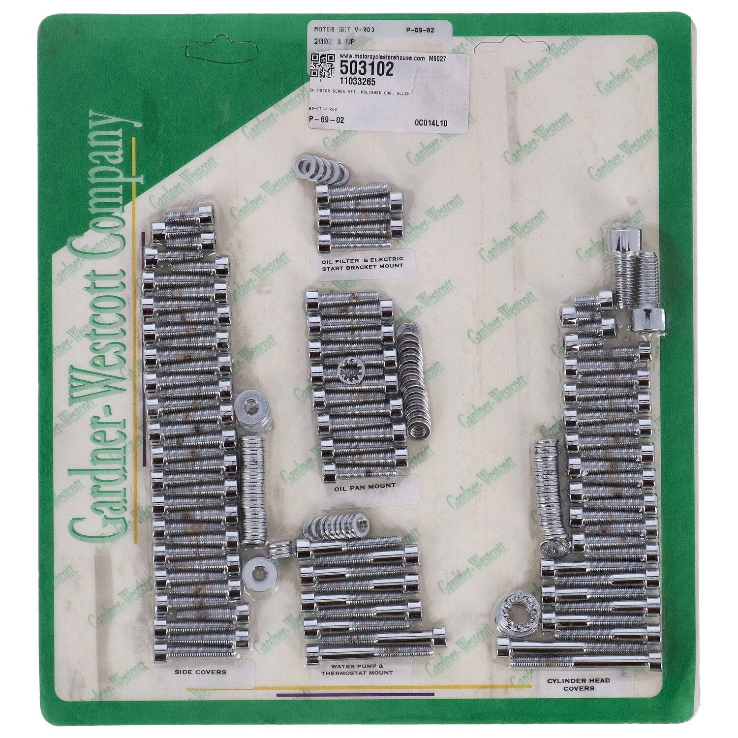 Motor screw set, polished chr. allen, Silver