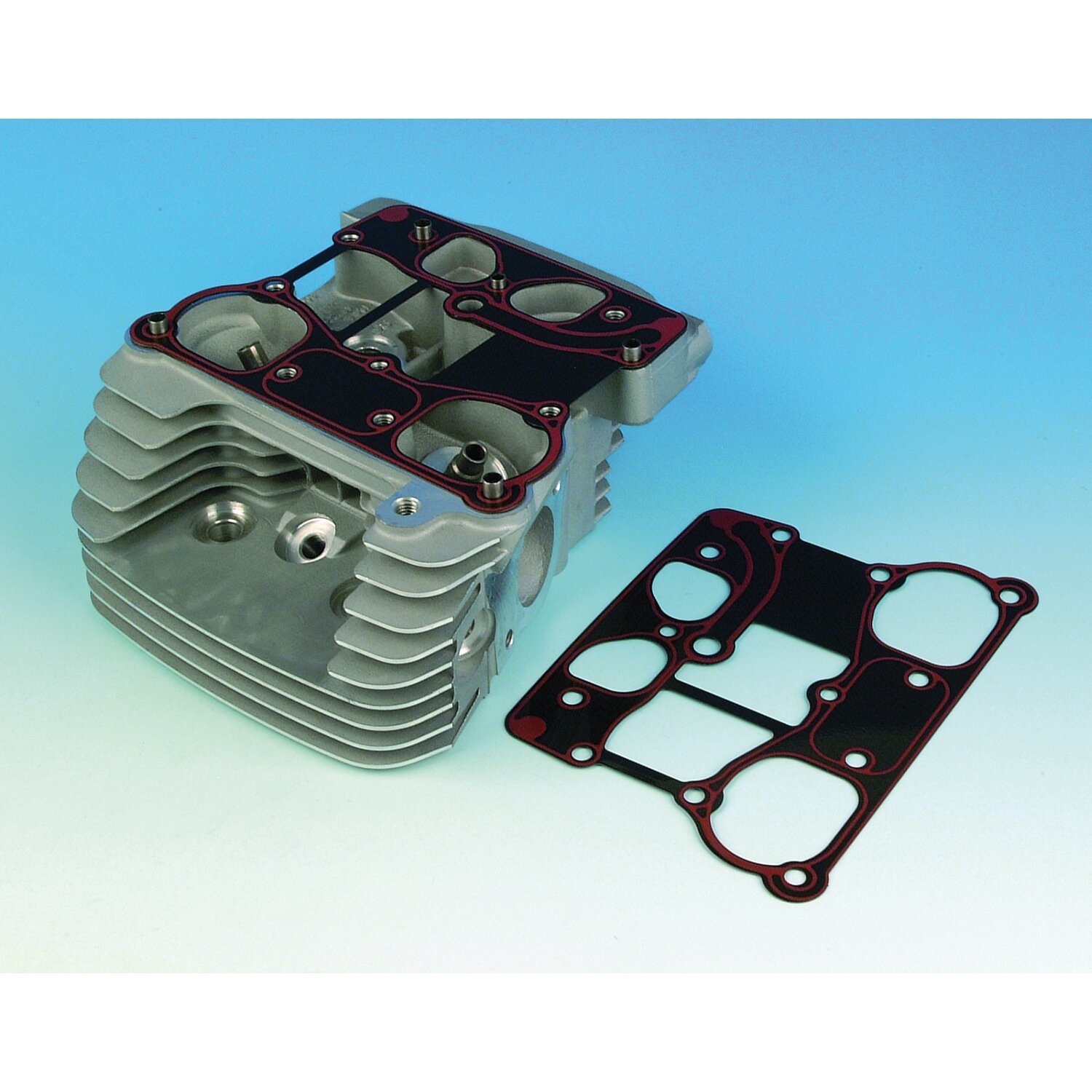 James, gasket lower rocker cover. RCM
