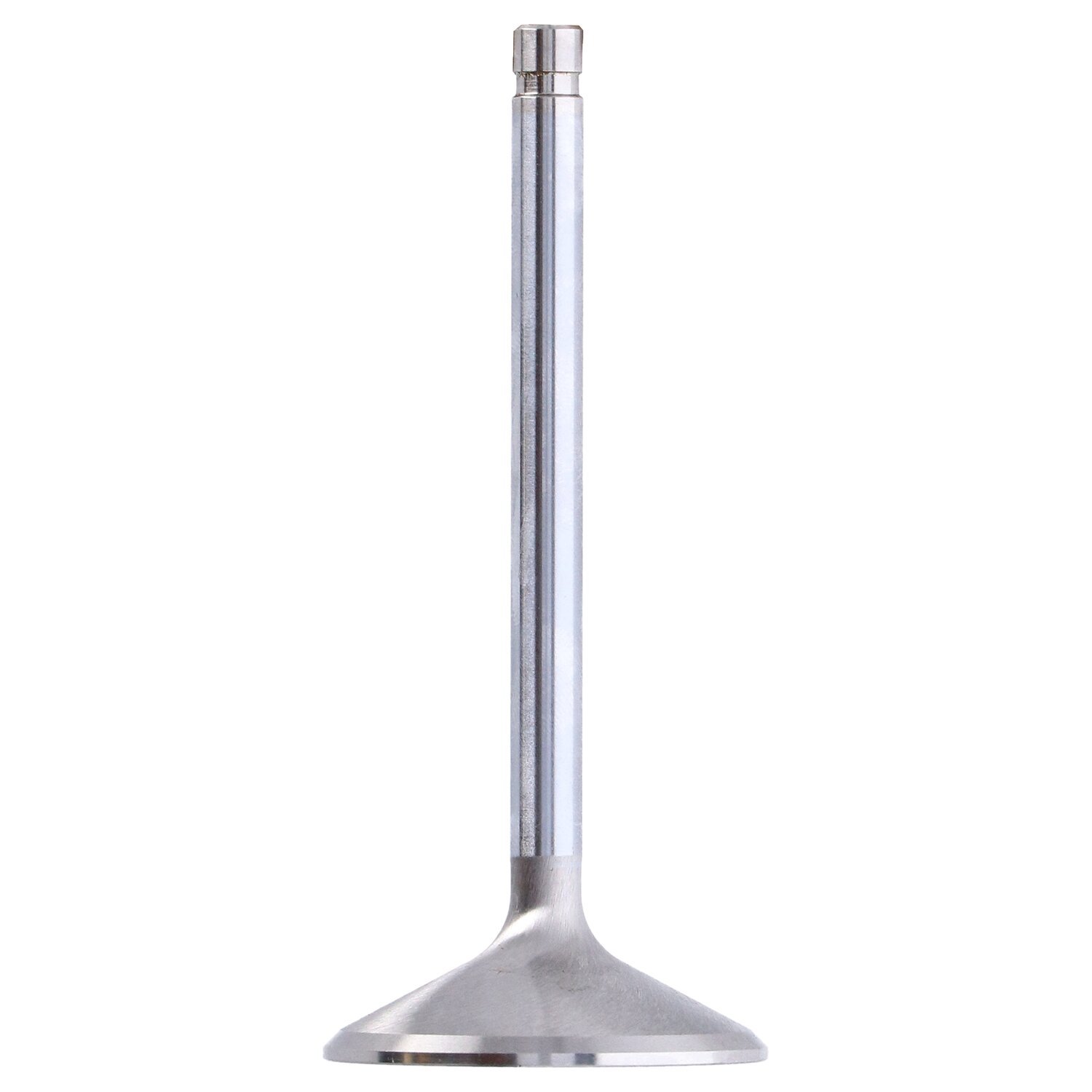 S&S, SuperStock intake valve, 1.900" diameter