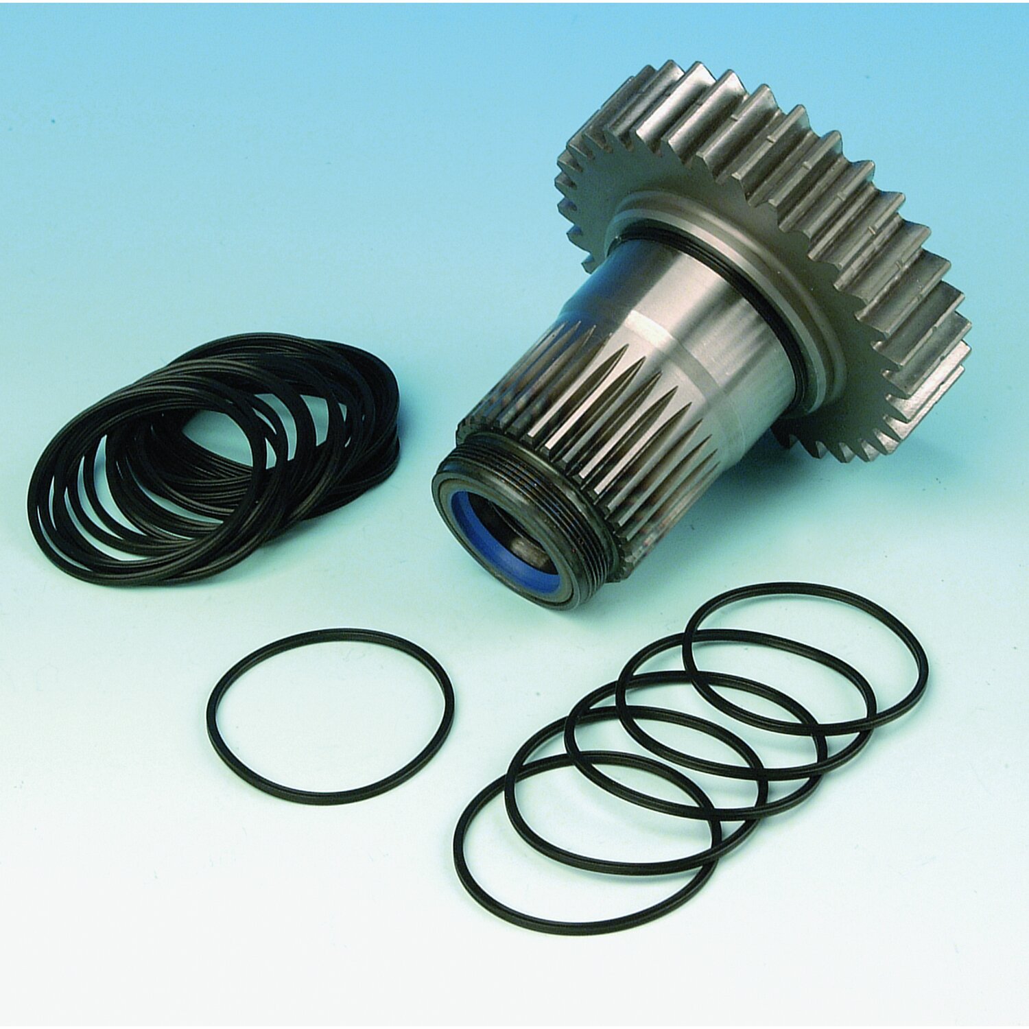 James, quad oil seal transmission mainshaft bearing