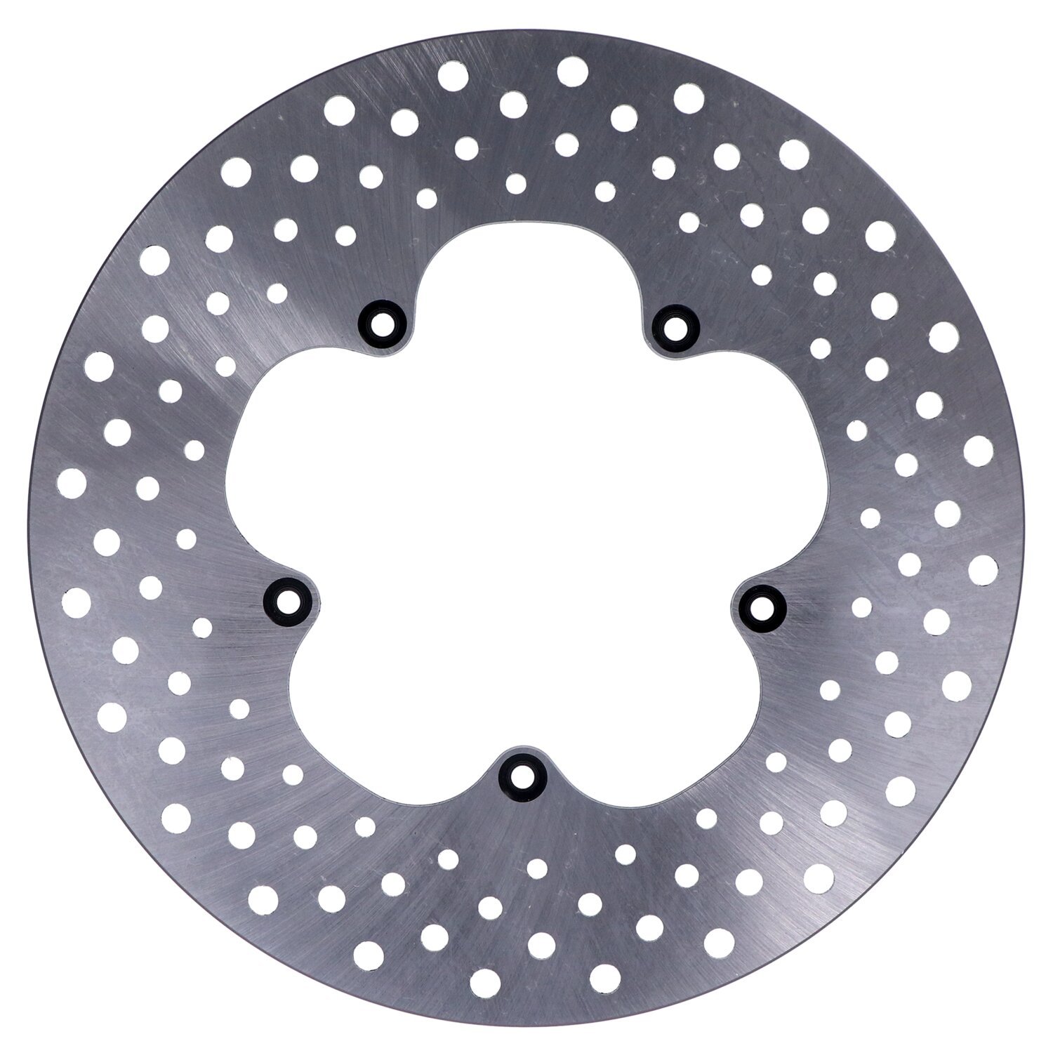 Brake rotor stainless drilled 11.5"