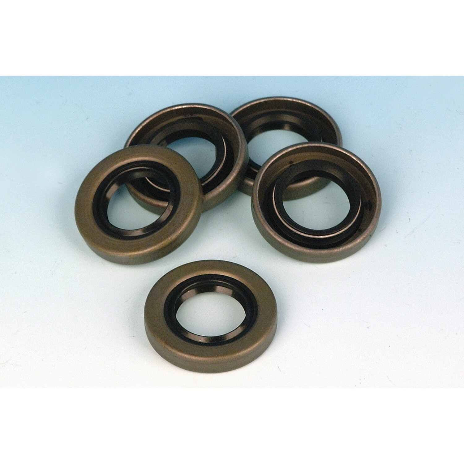 James, oil seal. Generator end cap