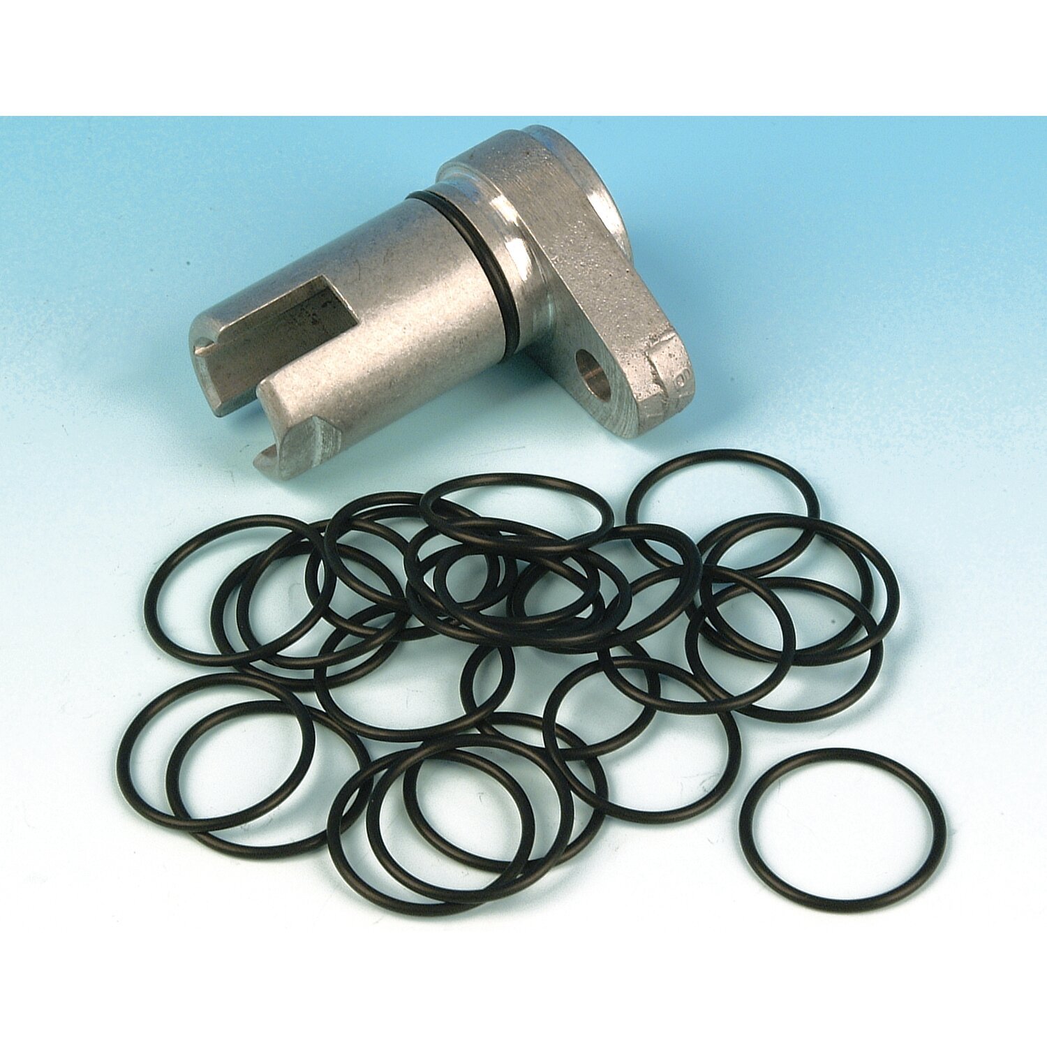James, O-ring tappet guide