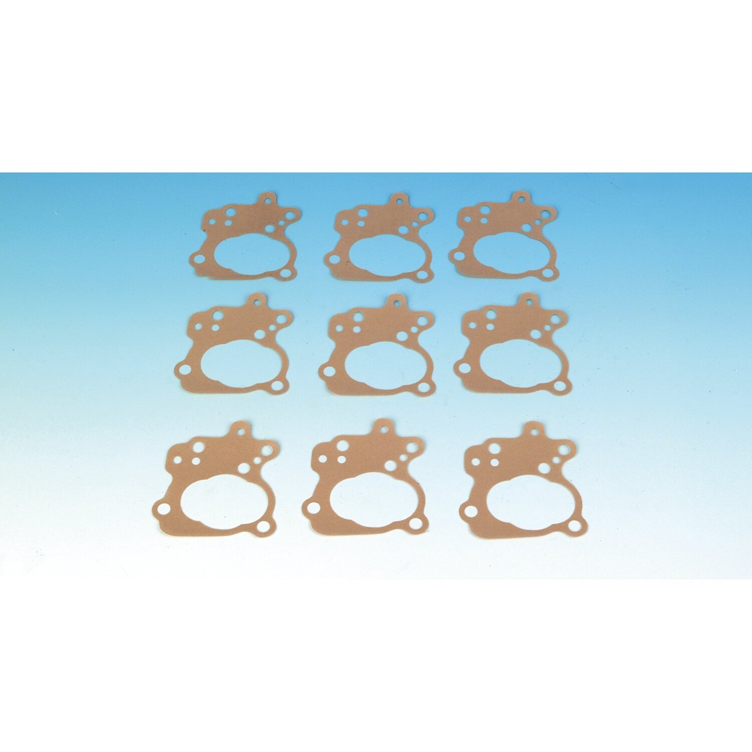 James, oil pump cover plate to body gasket. Paper