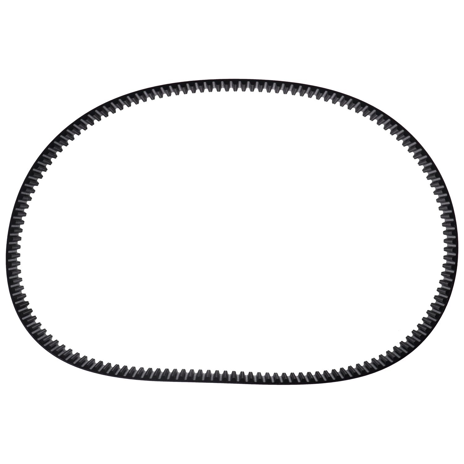 BDL, repl. primary belt. 3", 8mm pitch, 141T