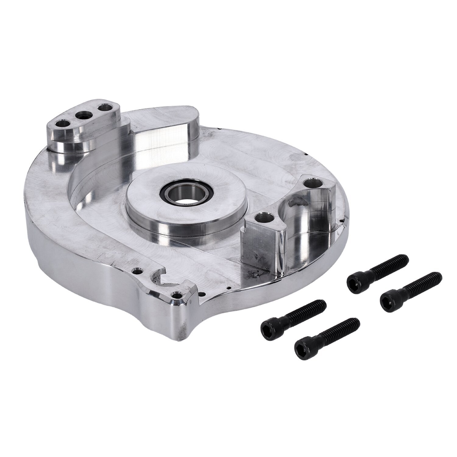 Bdl repl motor plate