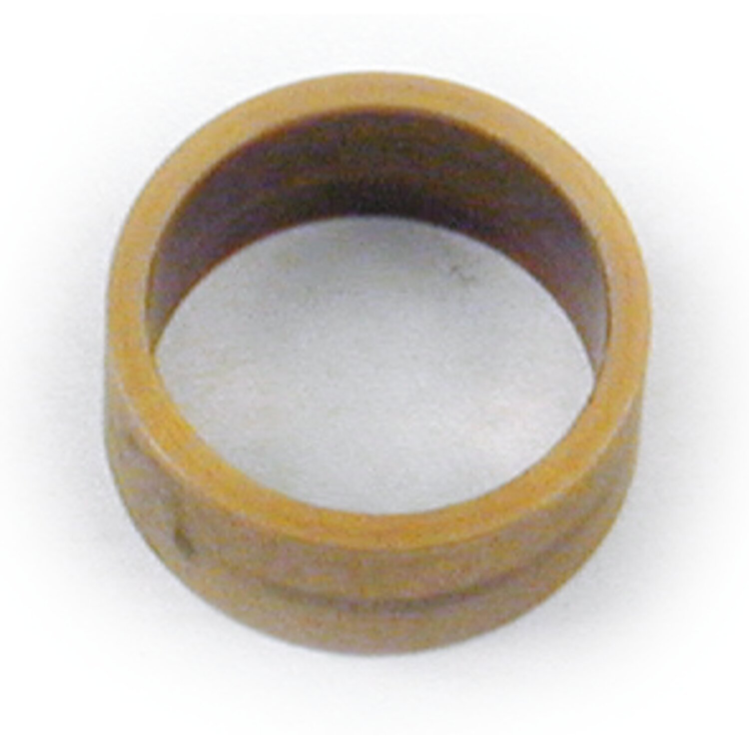 Bushing, shifter pawl carrier