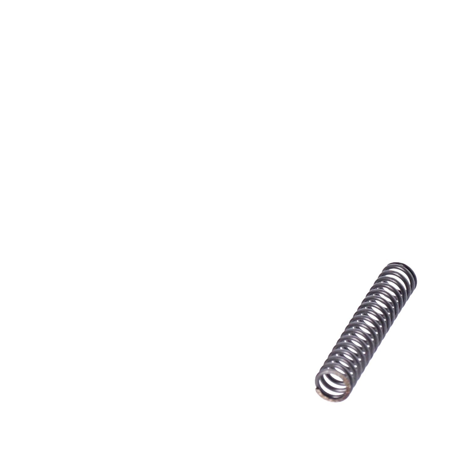 Spring, shifter pawl carrier