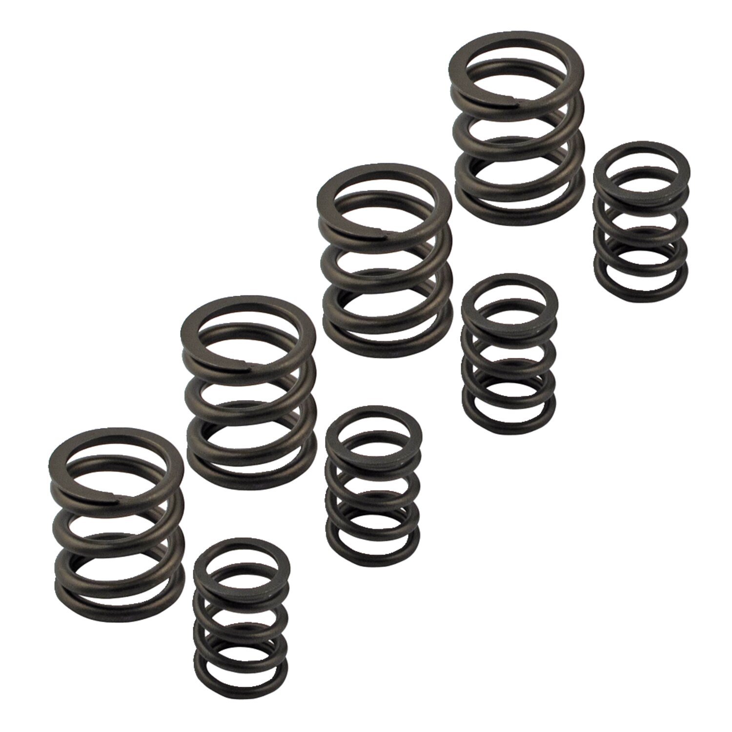 Kpmi, Sportster valve spring set