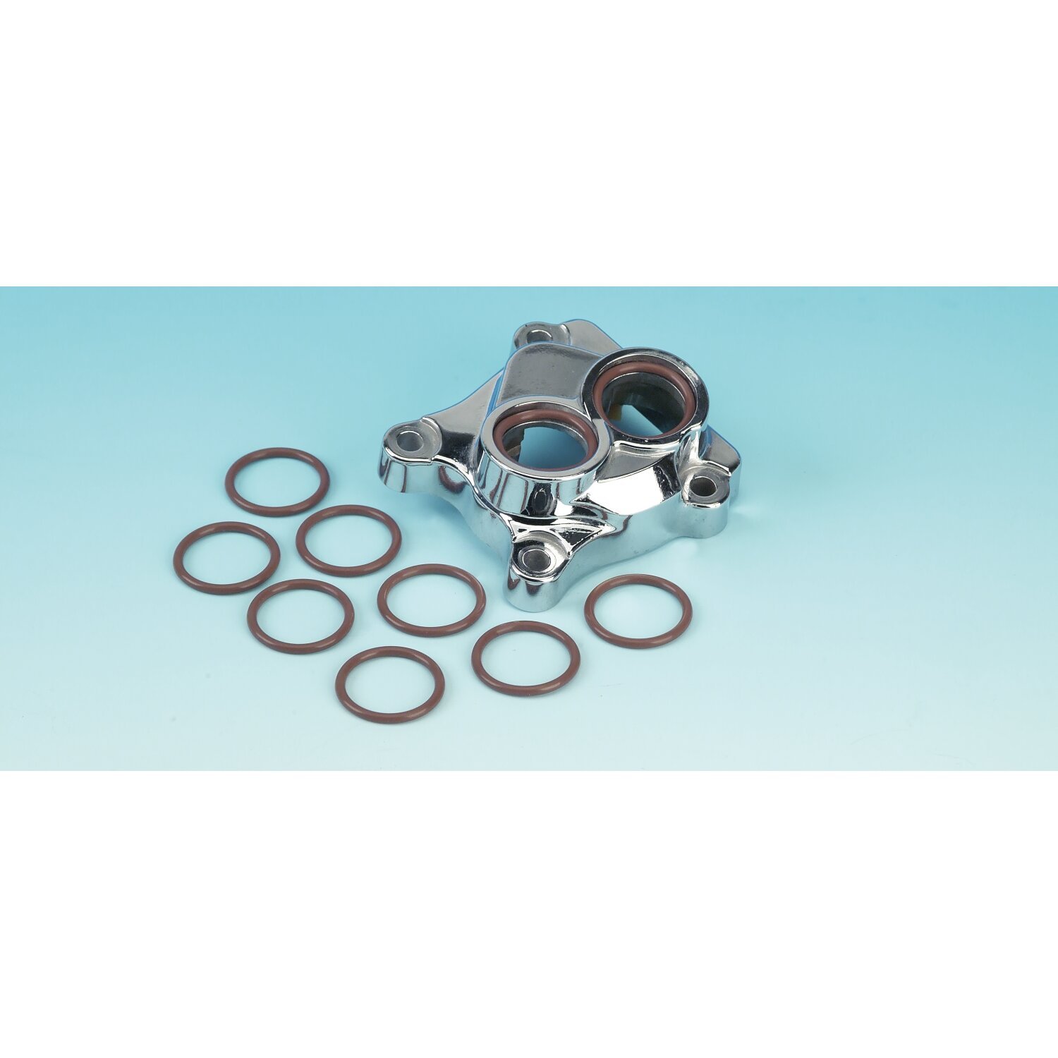 James, pushrod cover lower O-ring. Viton